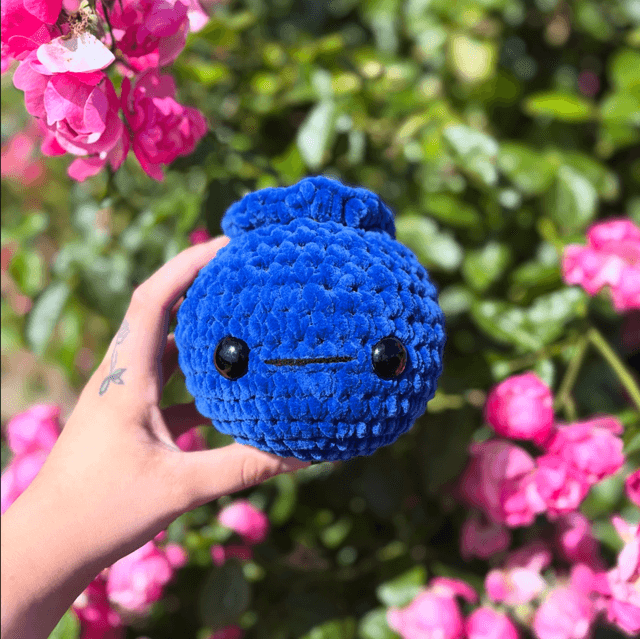Blueberry